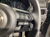 レーダークルーズコントロールは先行車との車間を維持しながら追従走行を行い、長距離でのドライバー負担を軽減させてくれます。