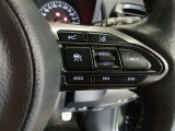 ステアリング右側には、運転支援機能を手元で操作できるスイッチ類を配置しています