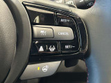 クルーズコントロールを装備しています。高速道路などの運転が楽々になりますので遠距離のお出かけに疲れがでなくてうれしいですね!