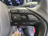 ステアリングスイッチ付き。前方から目を離すことなく操作することが可能です。