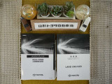 車両メンテナンスノート車両説明書