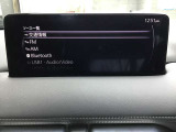 オーディオソースはこのようになっています。