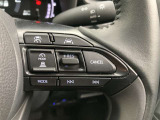 前方の車との車間を設定し、スピードを上げたり緩めたりを自動で行ってくれる追尾式の「レーダークルーズ」。上級装備の一つです!高級車にしかつかない嬉しい機能です。