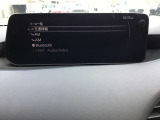 オーディオソースはこのようになっています。
