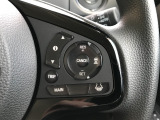 アダプティブクルーズコントロールは、高速道路などで設定した車速内で自動的に加減速の支援を行い、前走車との車間距離を維持しながら追従走行を支援する装置です。
