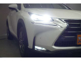 話題のLEDヘッドランプが採用されております! 省電力で長寿命、しかもとても明るく熱くなりにくい性質を持ったライトになります。虫も寄ってきにくい性質も持っております。