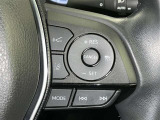 クルーズコントロール機能が付いています。 速度を設定するとアクセルを踏まなくても一定の速度で走ることができます。  高速道路ではとても便利な装置なんです。