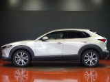 走りと風を楽しむために磨き抜かれたプロポーション。ドライバー操作と車の反応が一致する「走る歓び」を感じさせる美しいスタイルです。風を切る爽快感とともに、特別な時間を心ゆくまで楽しめます。
