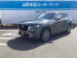 魂動デザインをさらに進化させ、マツダデザインのレベルを着実に上げる。そんな1台となっています。