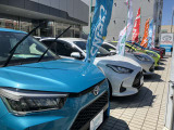 展示車80台展示しております。