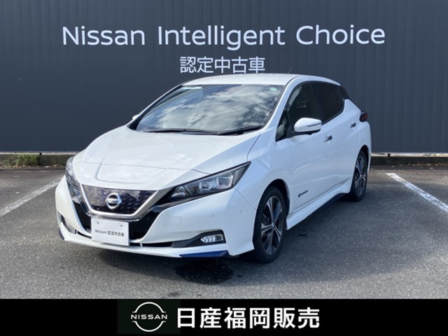 リーフ G 