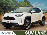 寒冷地仕様 ディスプレイオーディオ ブラインドスポットモニター ETC