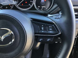 レーダークルーズコントロールを装備。アクセルやブレーキを操作しなくても、自動で先行車との車間距離を保ち追従走行できます。長距離や高速道路を運転する際に、ドライバーへの負担を軽減します。