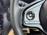 オーディオソースコントロールスイッチ、ハンドルに付いていてとても便利です。