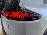 リアライトもLEDで明るいです。