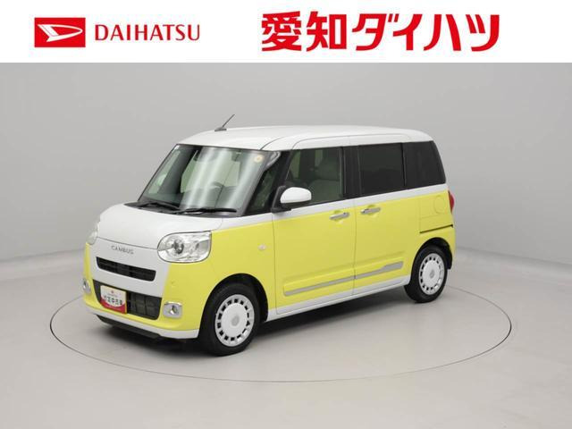 ムーヴキャンバス  ストライプス G