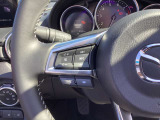 ステアリング左にはオーディオ系システムがまとまっており、運転中の快適性をサポートしてくれます。