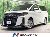 純正9型ディスプレイ 後席モニター 両側電動ドア バックカメラ 衝突軽減