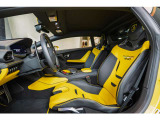 EVO-TRIM - Sportivo Leather Bicolor