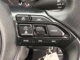 前方の車との車間を設定し、スピードを上げたり緩めたりを自動で行ってくれる追尾式の「レーダークルーズ」。上級装備の一つです!高級車にしかつかない嬉しい機能です。
