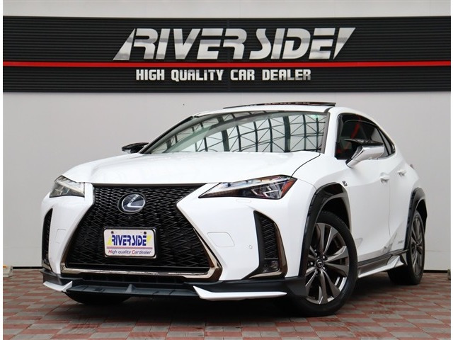 UX 250h Fスポーツ TRDエアロオーバーフェンダー純正10型ナビ