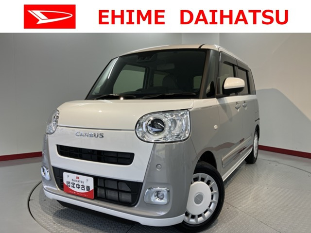 ムーヴキャンバス  ストライプス G