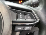 ステアリングスイッチで、先行車に自動追従するアダプティブクルーズコントロールが作動可能。設定した車速内での車間距離を自動で調整・維持。高速道路の渋滞時もアクセル・ブレーキ操作から解放されます。