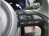前車との適切な車間距離を保ちながら追従走行やスピードダウンをセンサーで行います。高速道路の長時間ドライブで疲労軽減に貢献します。