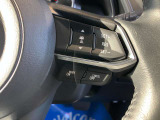 登録した速度に保ち走行するレーダークルーズコントロール付き。高速やバイパスでの運転支援に役立つ便利アイテムです!