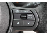 いつでもどんな場面でも、不安なく安心して運転できるようにドライバーと一緒に周囲に気を配りもしもに備える、HondaSENSINGのさまざまな機能や装備が充実しています。