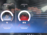 シートヒーター装備です。