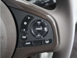 ◆アダプティブクルーズコントロール◆予め設定した車速内でクルマが自動的に加減速。前走車との適切な車間距離を維持しながら追従走行します。【LKAS】車線維持支援システムでステアリング操作を支援。