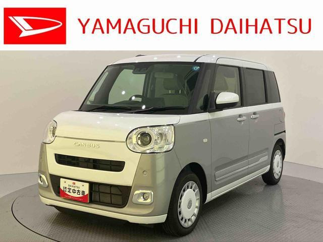 ムーヴキャンバス  ストライプス G