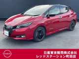 日産の電気自動車、リーフが入ってきました。