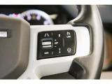 ステアリングを握ったまま車間距離や速度設定の操作が可能です。走行中でも視線を大きく動かすことなく直感的に設定変更がおこなえるため、長距離運転がとても快適です!