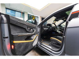 Bicolor Sportivo Alcantara- with Performante trim