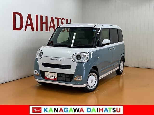 ムーヴキャンバス  ストライプス G