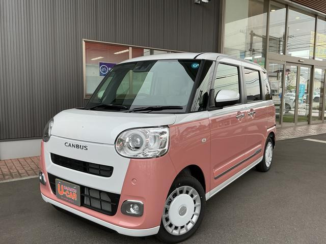 ムーヴキャンバス  ストライプス G