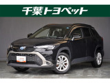 【メイン】 千葉・茨城・埼玉・東京・神奈川での登録、及びご来店いただける方への販売に限らせていただきます。