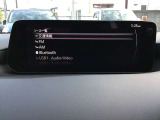 オーディオソースになります♪
