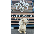 ご覧いただきありがとうございます。看板犬のキィです。お気軽にご来店、お問い合わせください。