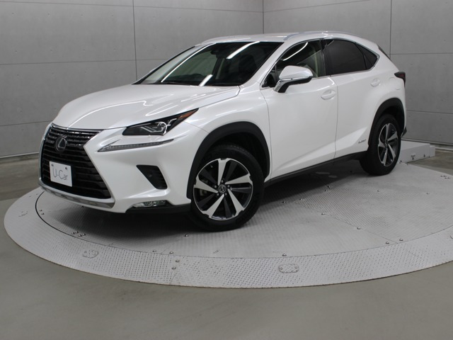NX 300h バージョンL 