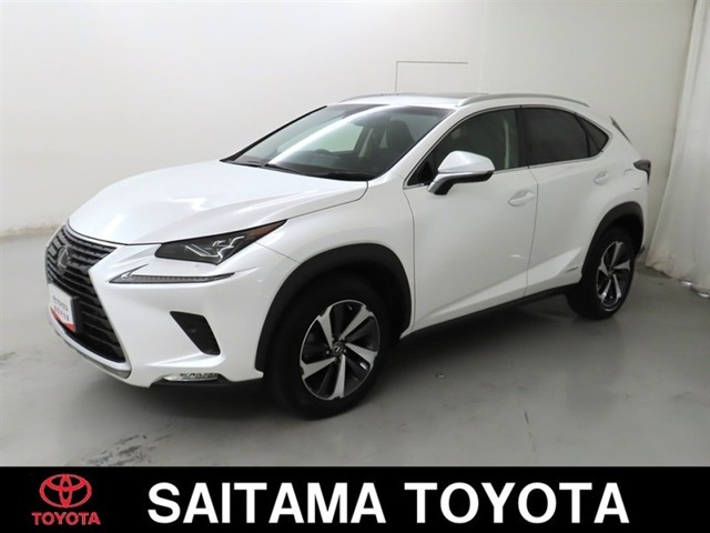 NX 300h バージョンL 
