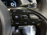 ステアリング右側には、運転支援機能を手元で操作できるスイッチ類を配置しています