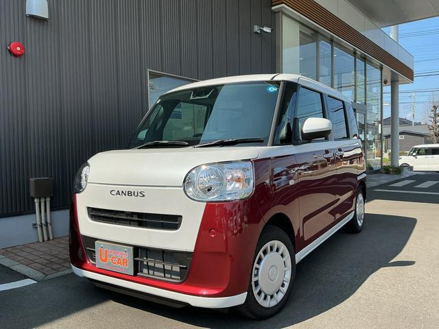ムーヴキャンバス  ストライプス X