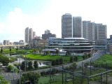 柏の葉未来都市には散策路やパラソル付のベンチも設置され憩いにぴったりな場所