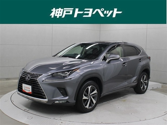 NX 300h Iパッケージ 4WD 