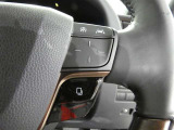 ステアリングスイッチで車両情報を切り替えて必要な情報を確認したりできます。