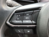ステアリング左側にはオーディオコントロールスイッチを搭載。走行中でも簡単に音量の上げ下げ、曲の送り戻し、モードの切り替えが可能です。クイックに切り替えてお好みの音楽で楽しいドライブを!