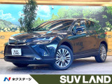 12.3インチディスプレイオーディオ バックカメラ セーフティセンス